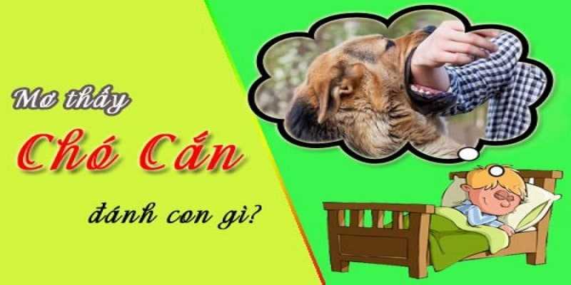 vb9 Giải Mã Giấc Mơ Và Những Con Số May Mắn từ bị chó cắn